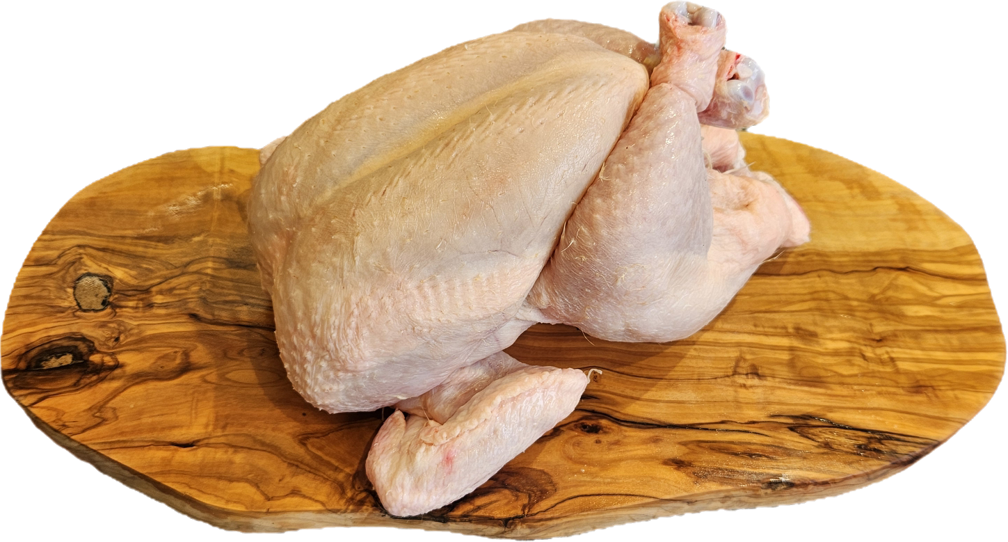 20251111 110643 copy